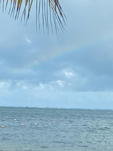 BellaMar
