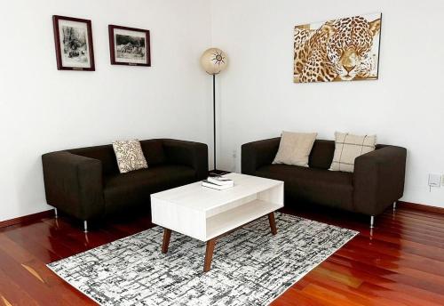 Condesa Residence Amsterdam D Sunny 2Bed 1Bath Apt in Condesa