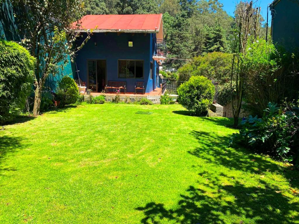 Alojamiento tipo Cabaña, rodeado de Bosque