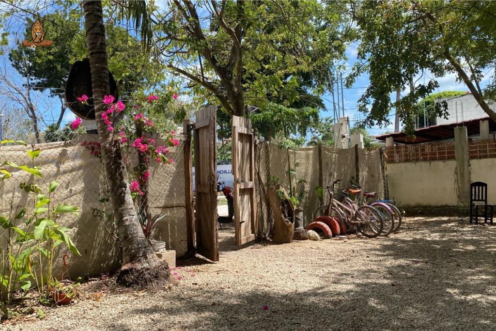 Hotel Selva Bacalar - Free Bike Rental