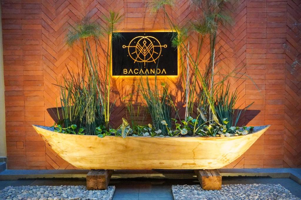 Bacaanda #4