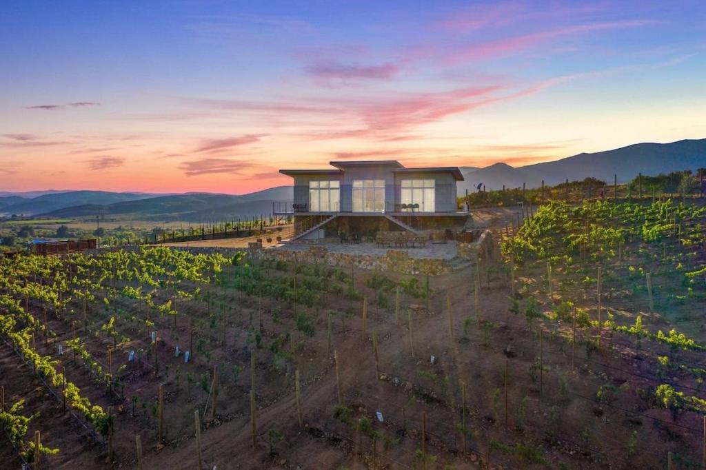 Buena Vista - Valle De Guadalupe