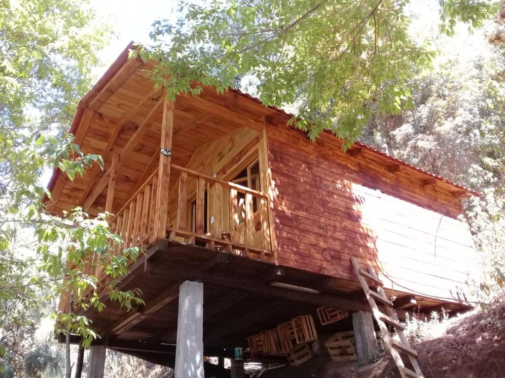 Cabaña en el Bosque de San José del Pacifico 2