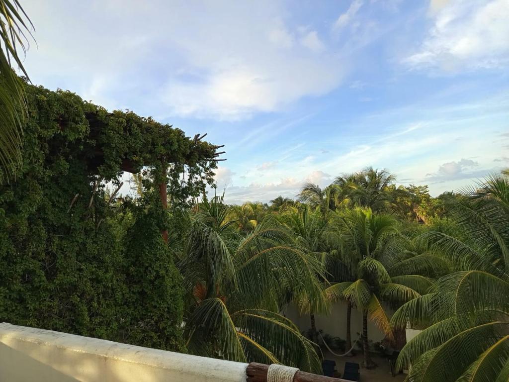 Casa aloha-Isla Holbox