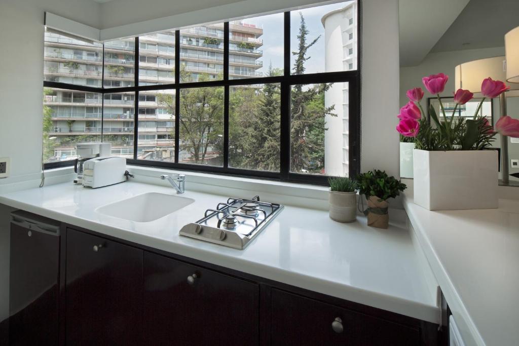 FlowSuites Polanco