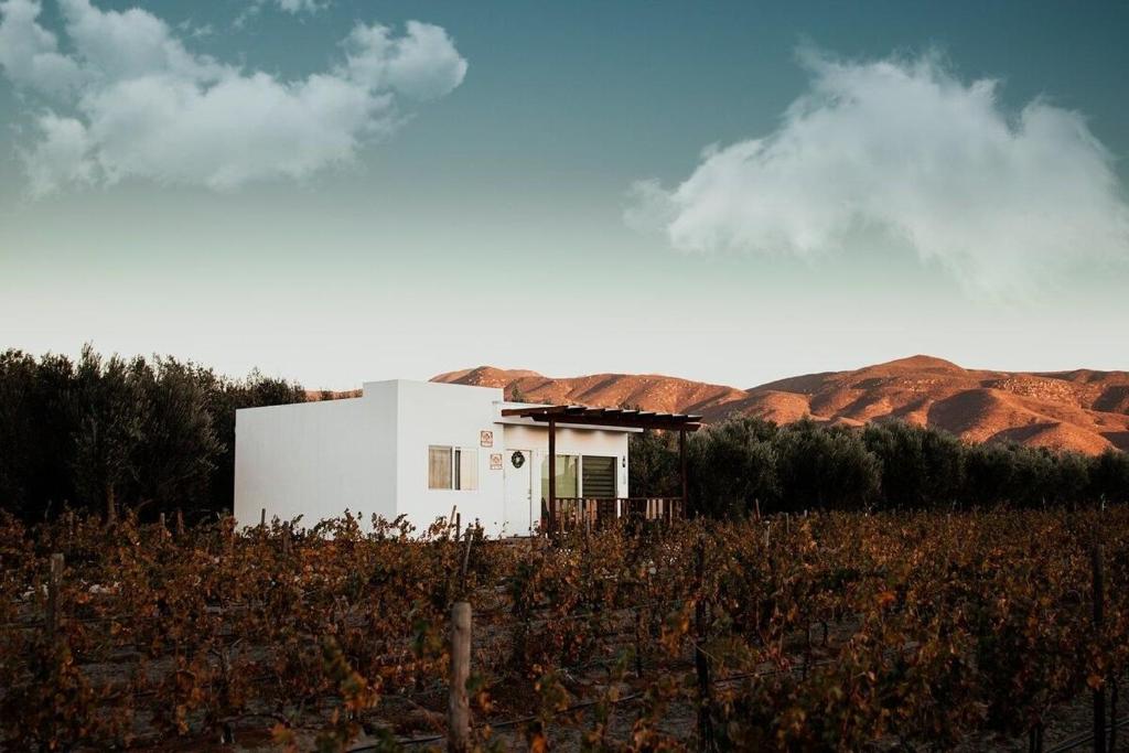 Casa Colibri Guadalupe Valley