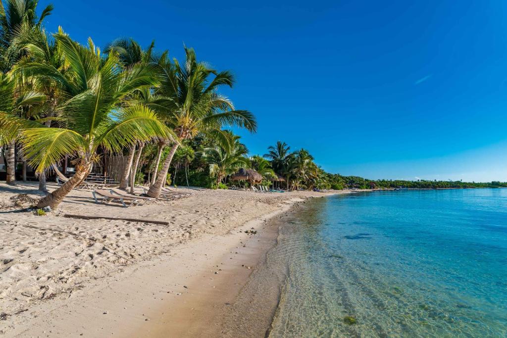 Tulum Luxury Collection