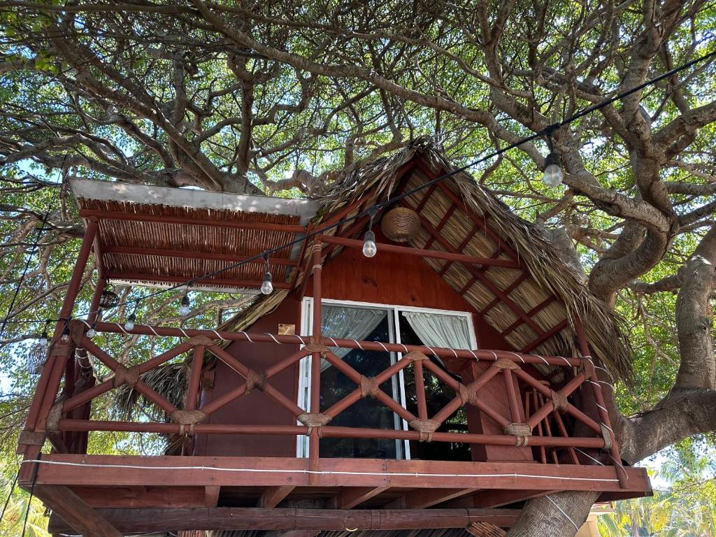 Casa del Árbol Barra la Saladita