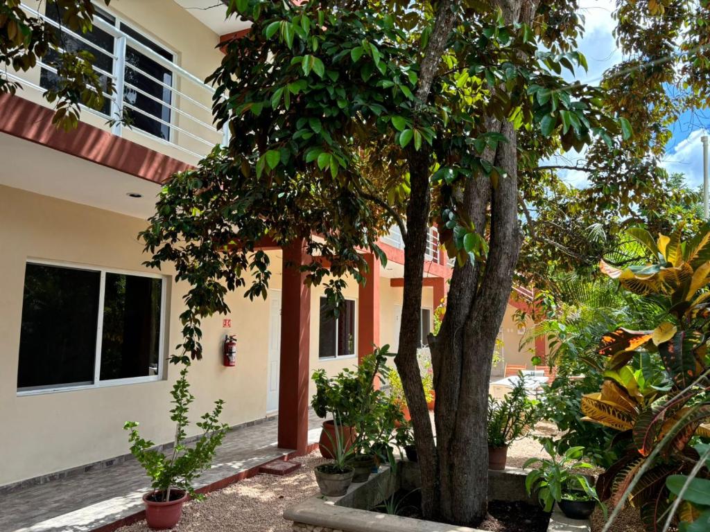 Casa del cenote