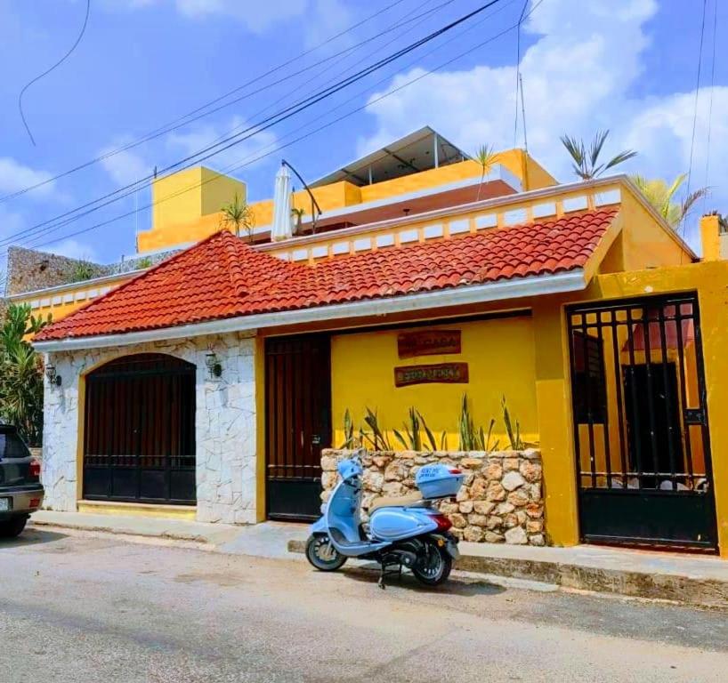 Casa Fernery