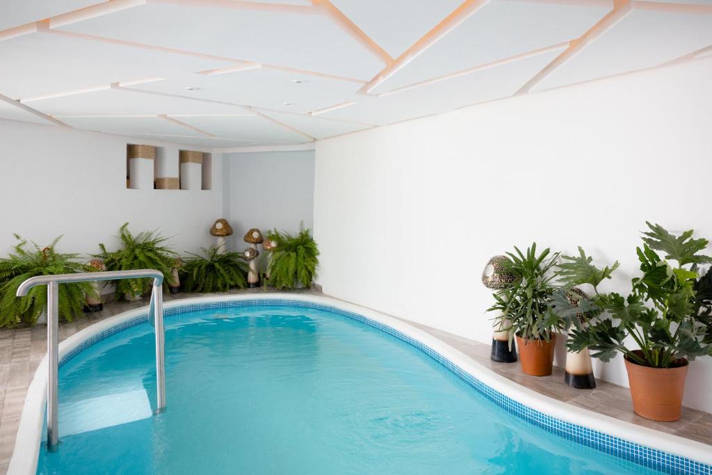 Casa Galeria Beach Front