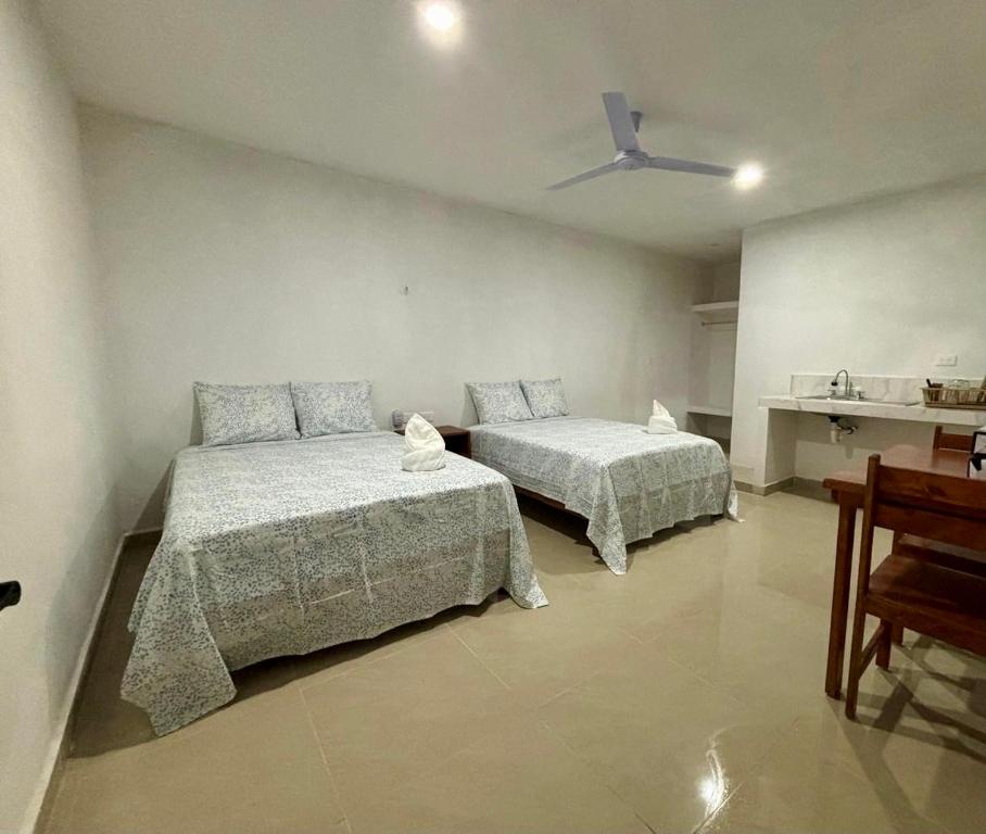Casa GLEZAR el cuyo