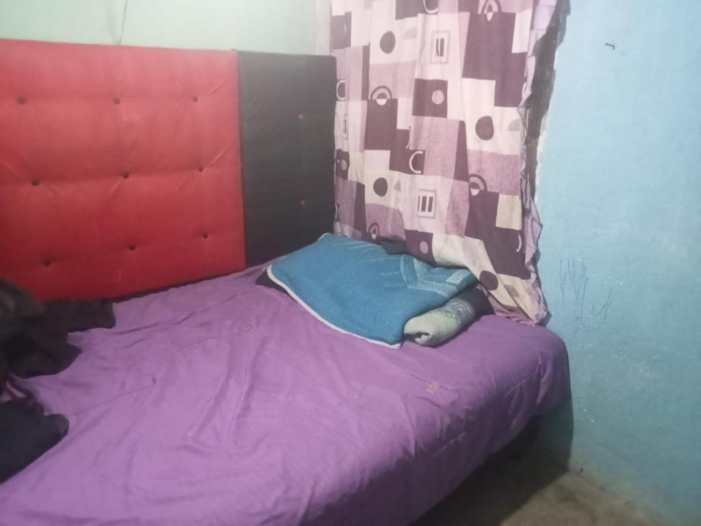 Casa Love