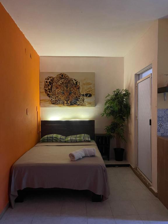 Casa Mar