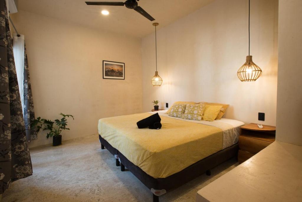 Casa Miztli