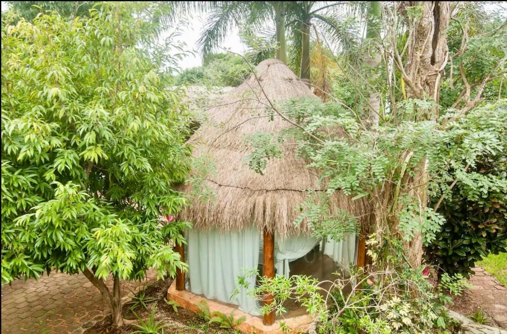 OMA CANCUN - Holistic Healing Center