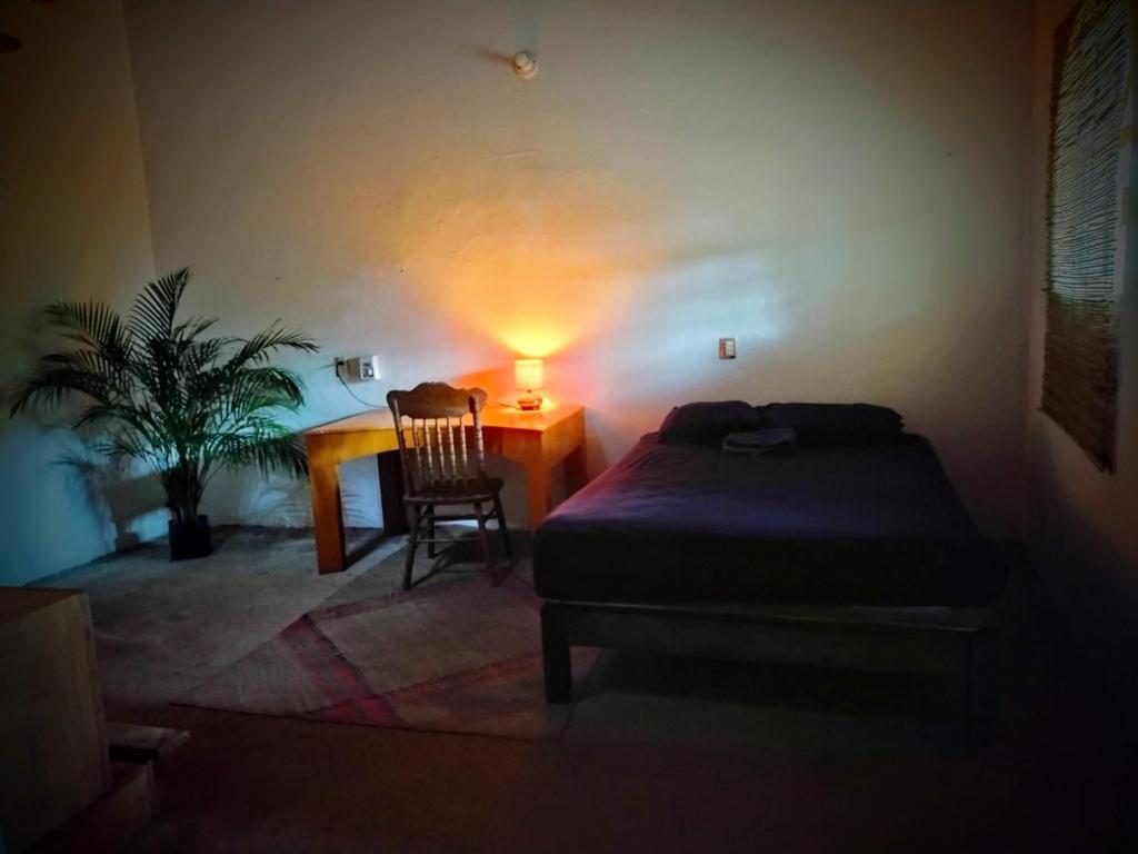 Casa pájaros- Habitación Colibri
