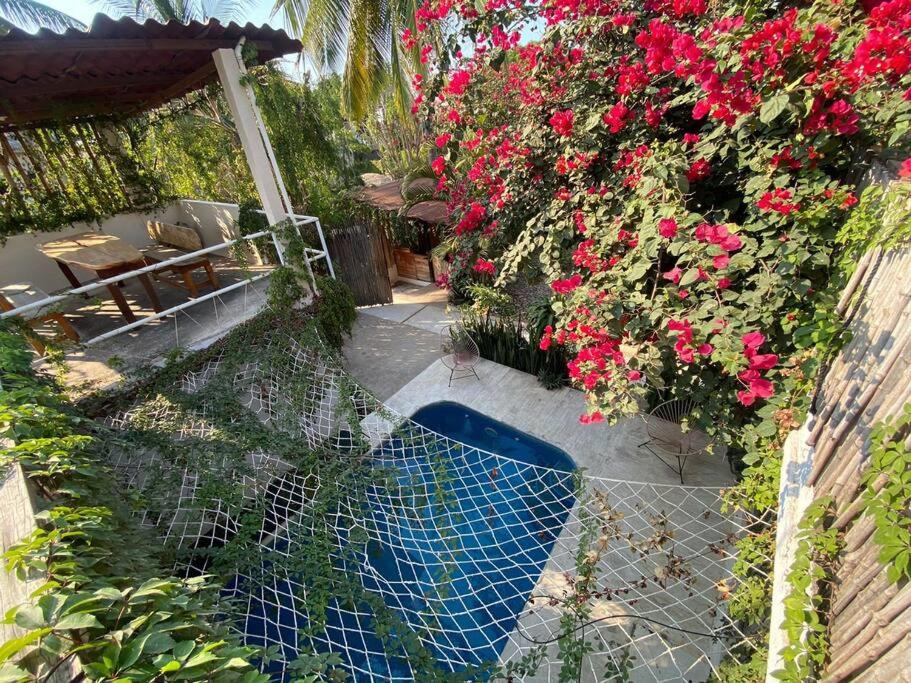 Casa Selva casa privada con alberca, en Punta