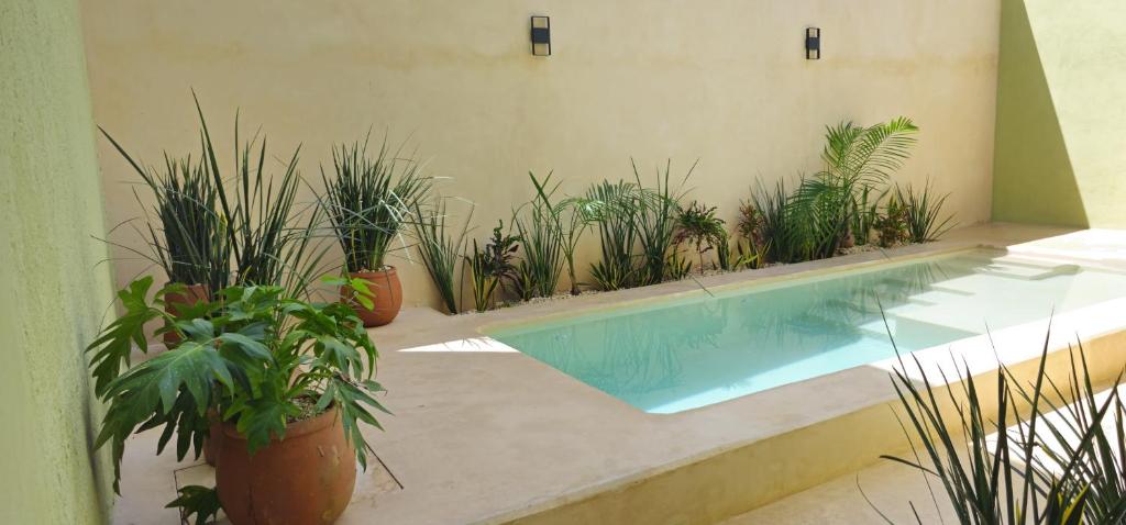 Casa Zogo Origen
