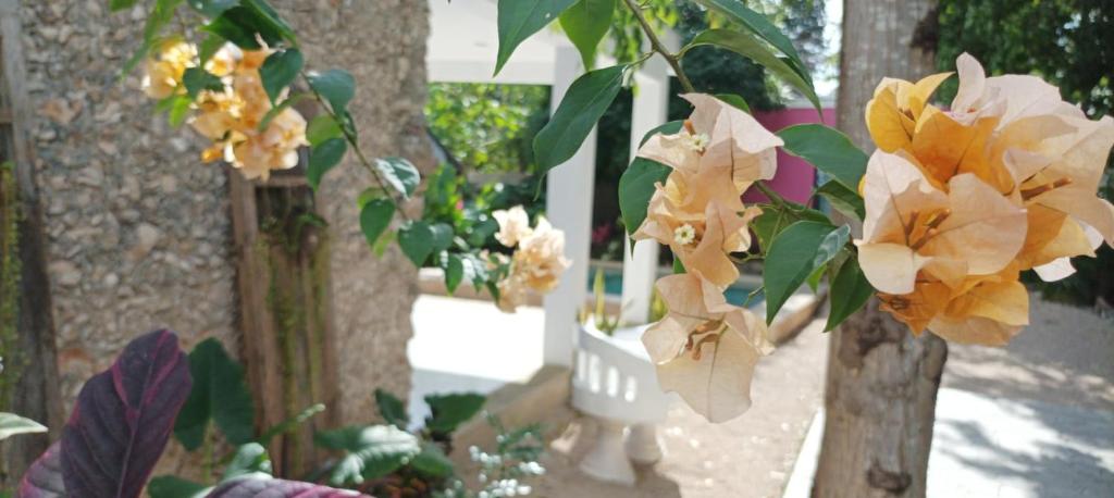Casas Teoli Casita Rosa
