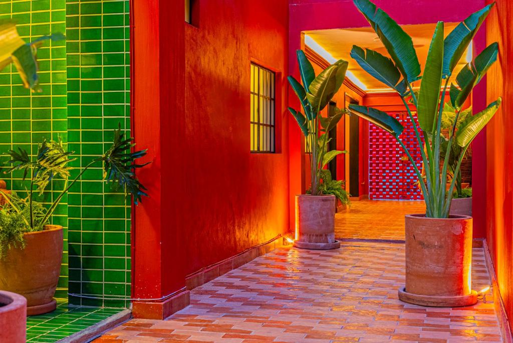 Casona Quetzal