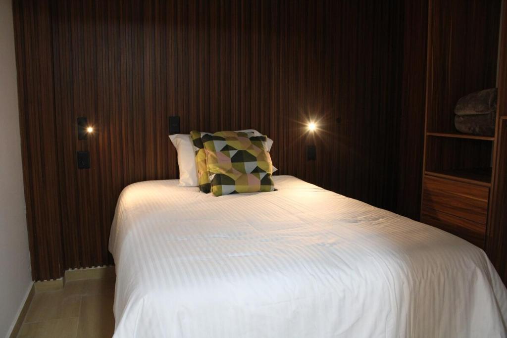 Coliving Roma Norte Loft Canario