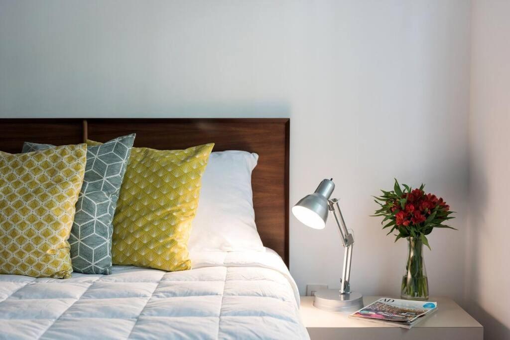 Condesa Residence Campeche 3 Charm 2BR 1BA Apartment with Expansive Living Space