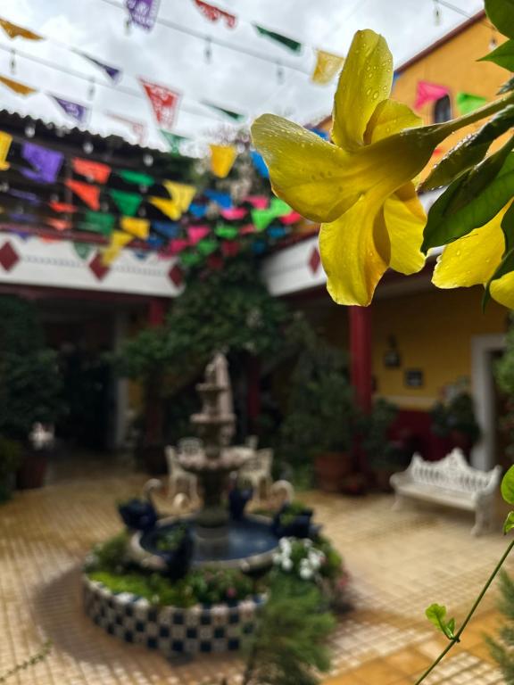 Copa de Oro Hotel Boutique