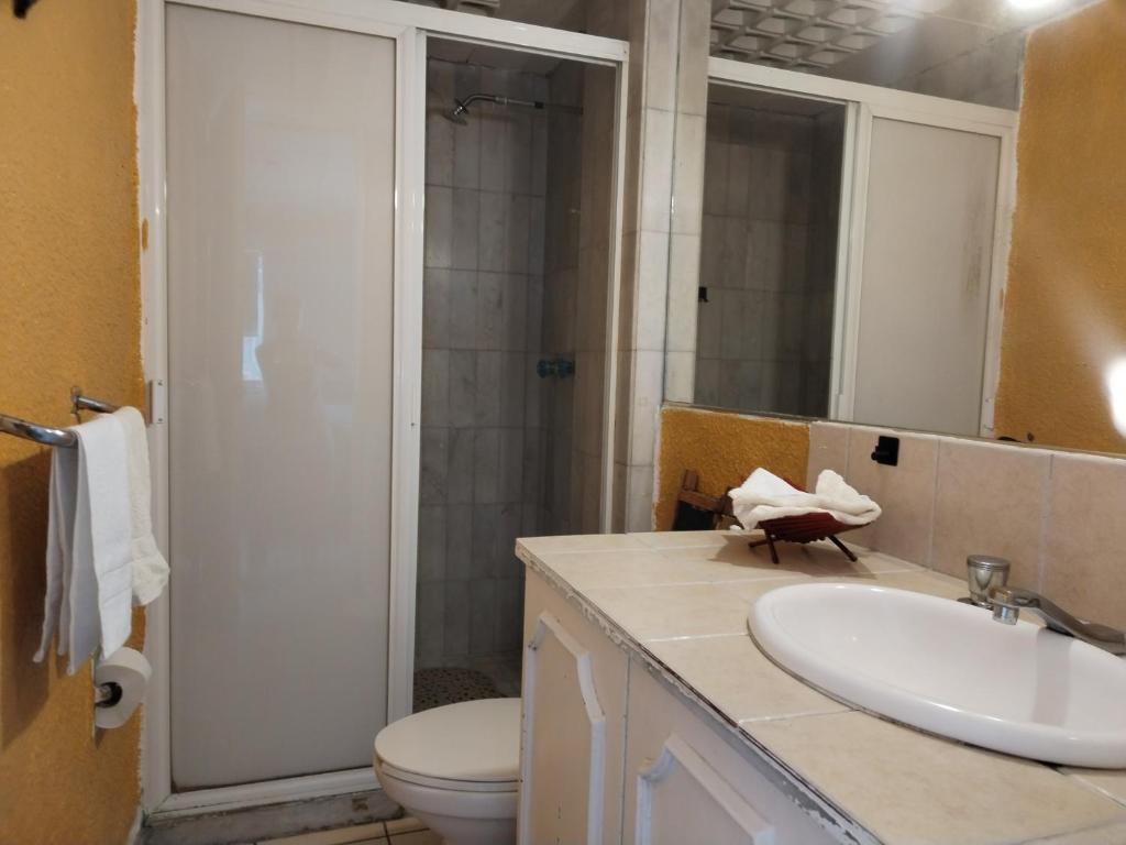 Suite Reforma Ahuehuete