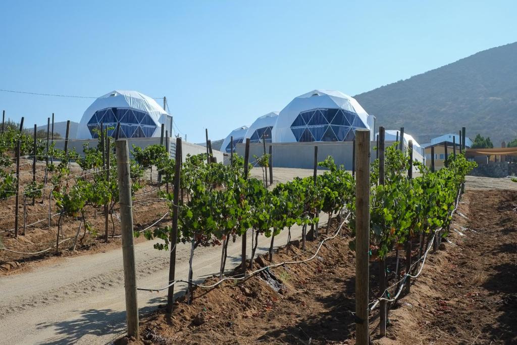 Cúpulas Del Valle by Villa De La Rosa