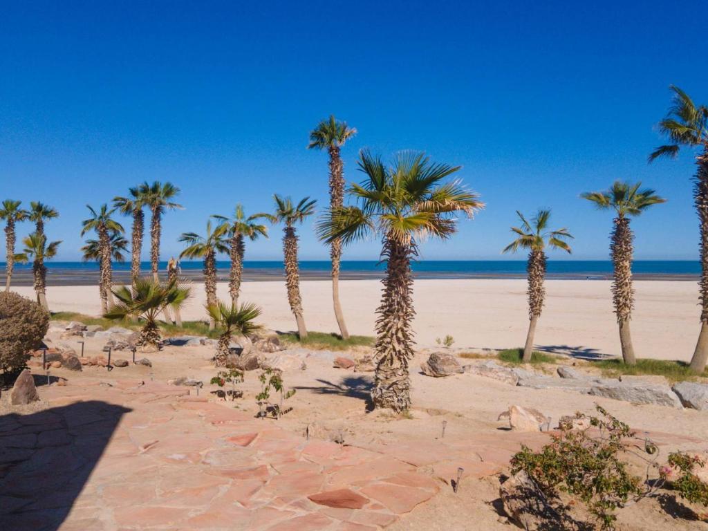 El Dorado Ranch San Felipe Baja Beachfront Condo 763