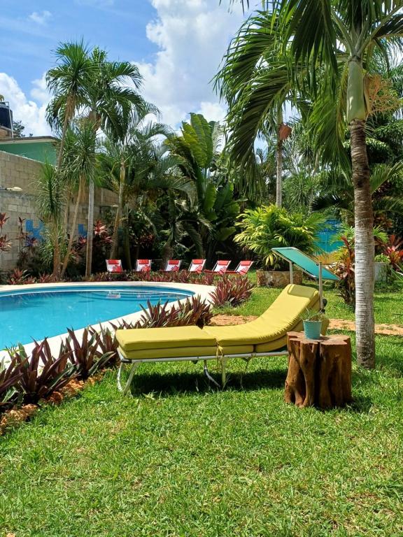 GREEN PARADISE LEONA VICARIO