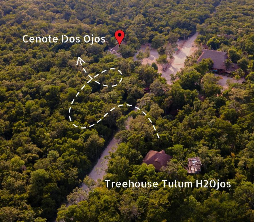 Treehouse Tulum H2Ojos