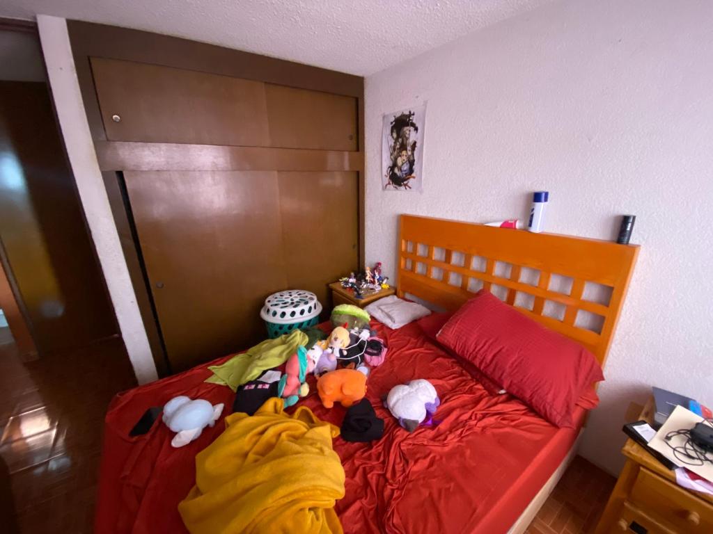 habitacion en conjunto el laurel
