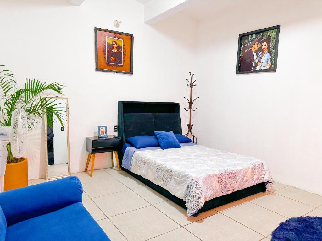 HVUZ Rooms