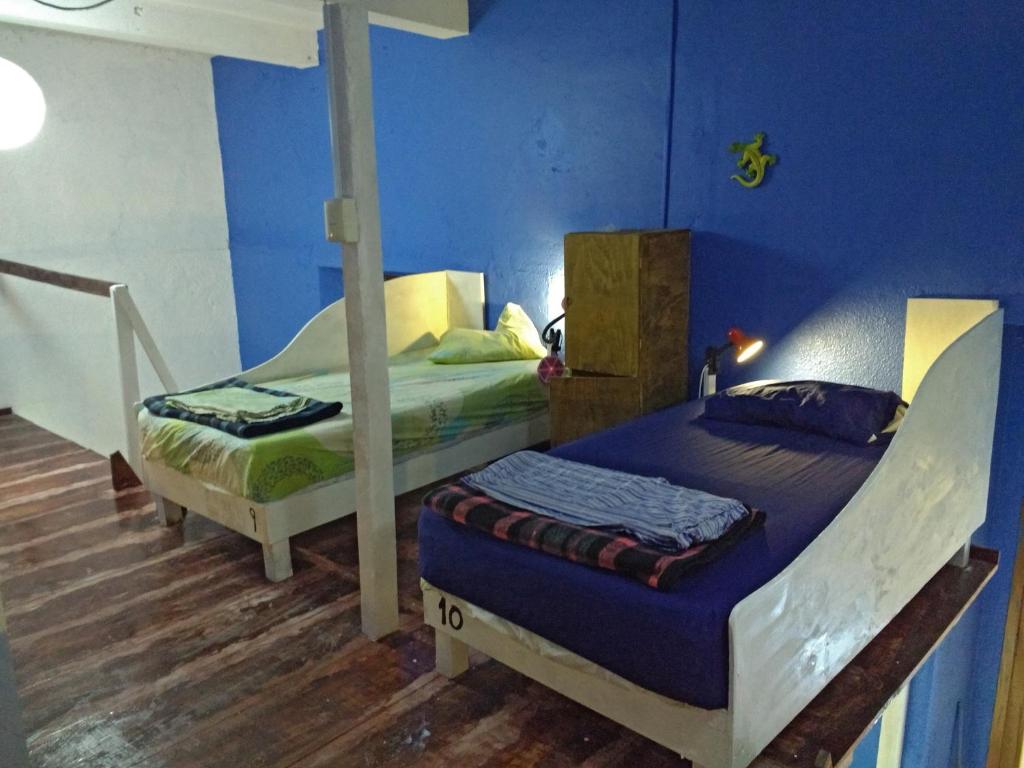 Iguana Hostel Oaxaca