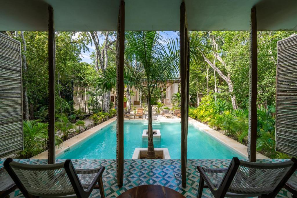Jungle Reflection Loft Beach Club