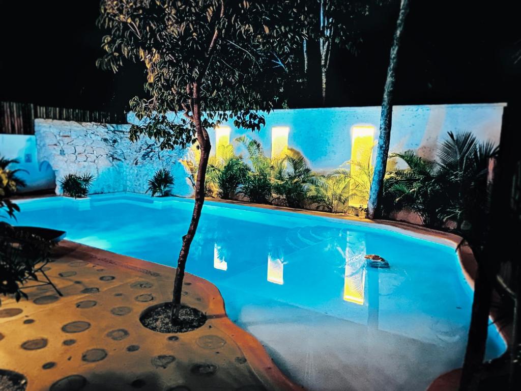 Niik Tulum