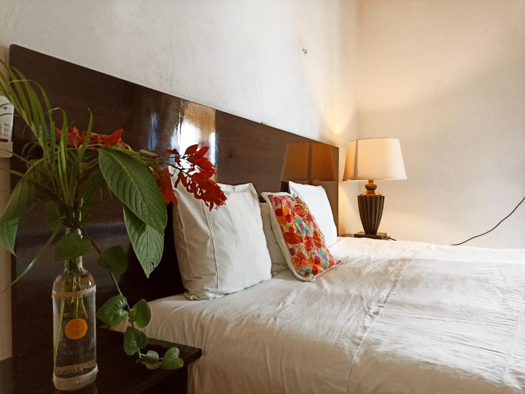 Casa De Los Pájaros - B&B