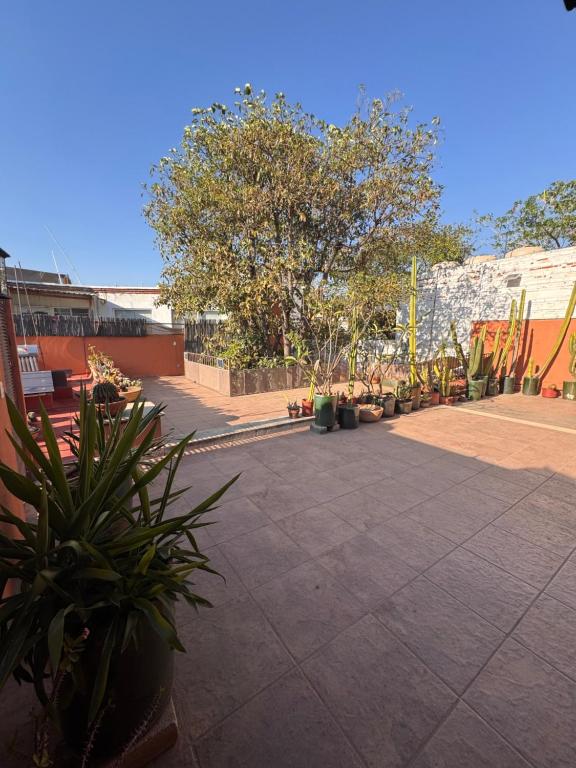 La Casa del Arbol Townhouse
