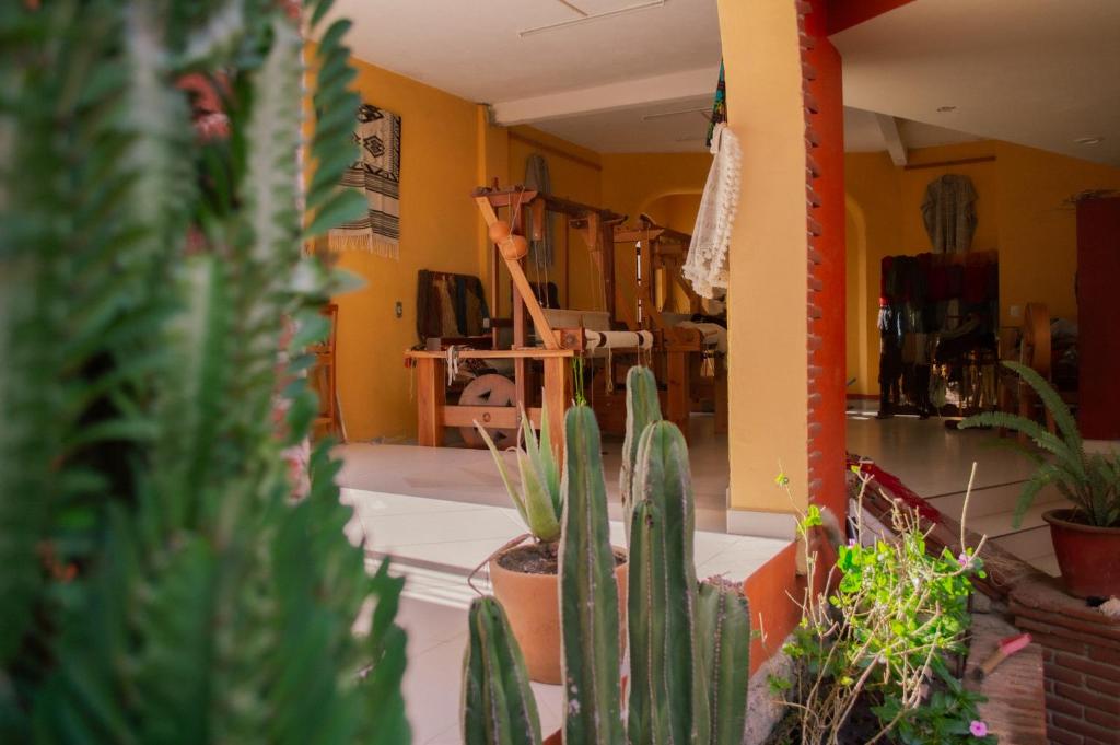 La Cupula B&B Teotitlan