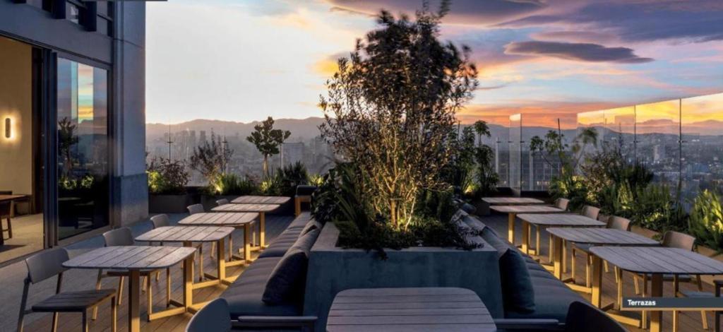 Loft Reforma