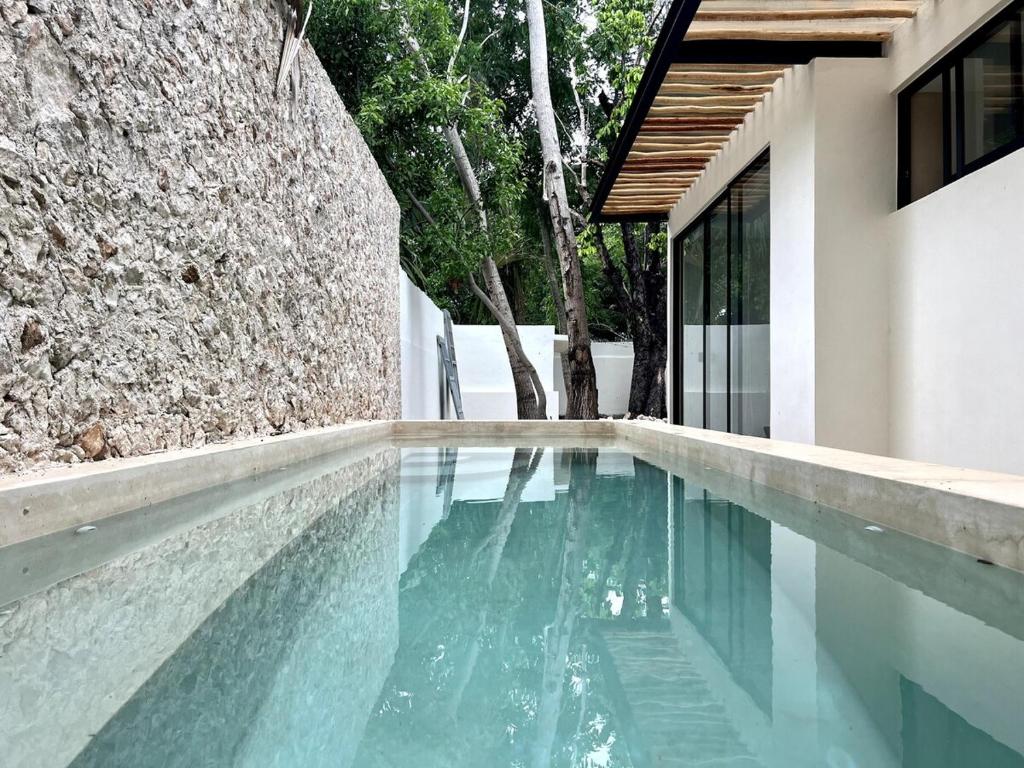 Lux in the Center of Mérida, swimming pool