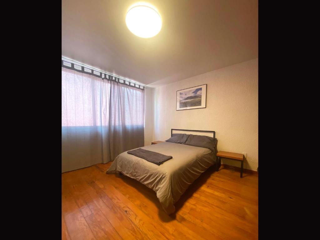 Cozy and private Suite in CDMX 5