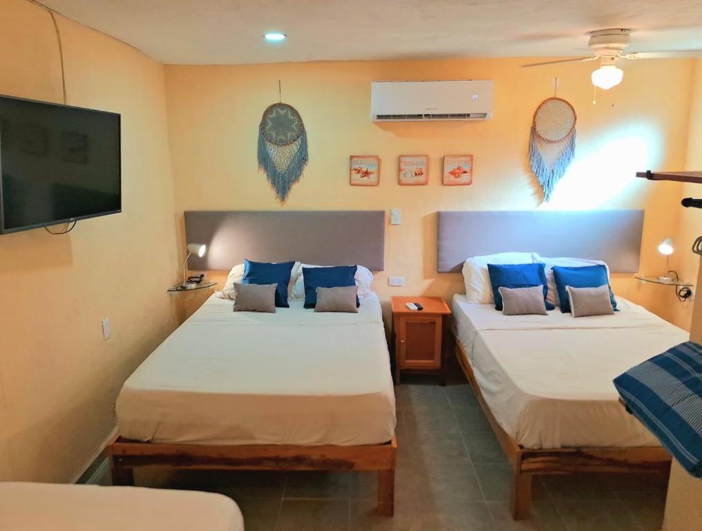 Cozy North Zone Apartment - Isla Mujeres