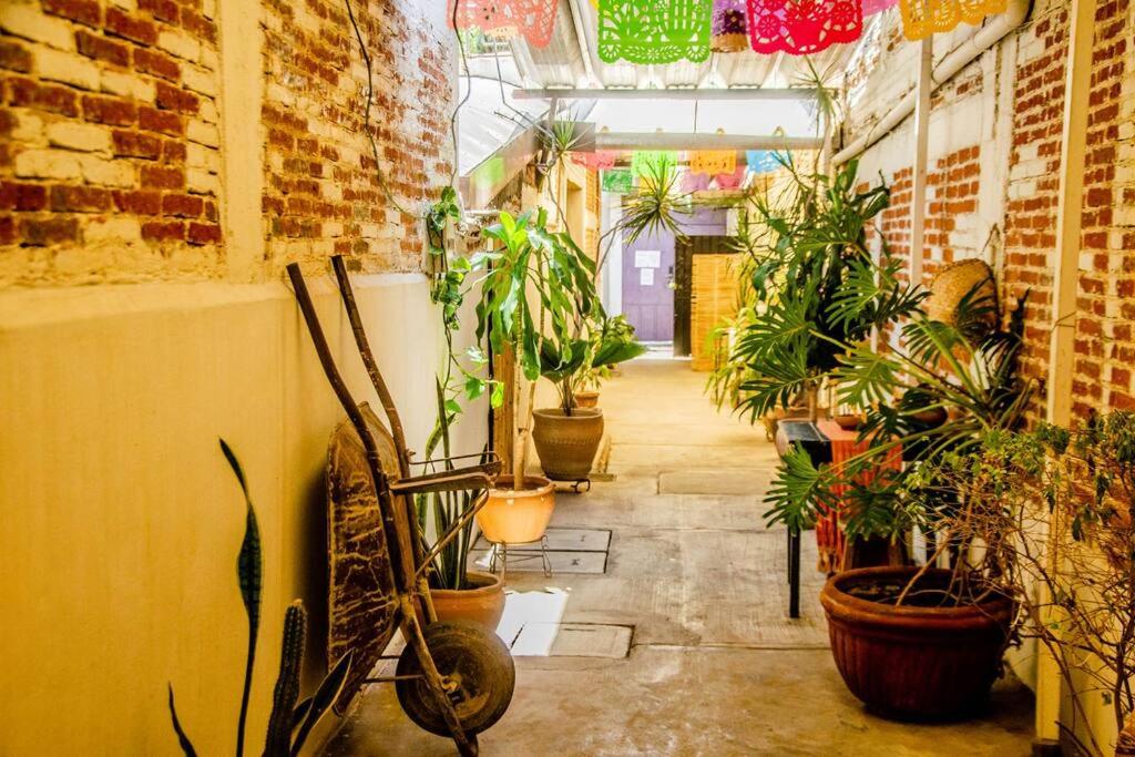 The Green Loft, Oaxaca Centro